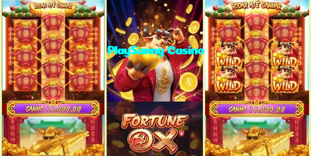PlaySunny Casino